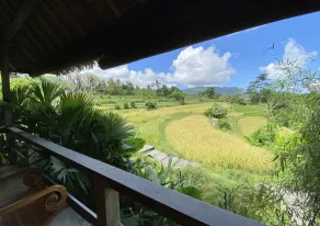 Sawah Indah Villa - View from room