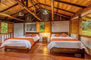 Ecohotel Piedemonte - Room