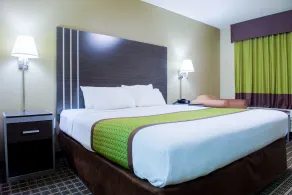 Clarion Pointe Athens I-65 - Zimmer