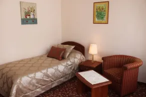 Spa Hotel Purkyně - Chambre