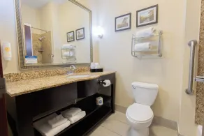 Comfort Suites Troy-I75 - Bathroom