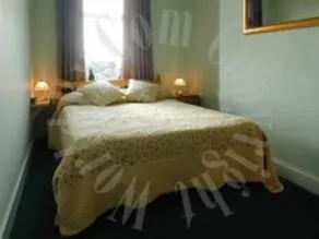 Twin Lions Hotel - Chambre