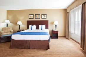 Holiday Inn Aurora North - Naperville by IHG - Chambre