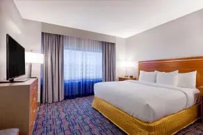 Embassy Suites by Hilton Chicago O'Hare Rosemont - Rum