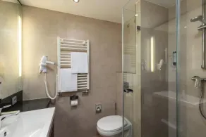 standard room - Salle de bain