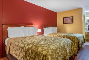 Econo Lodge Inn & Suites Maingate Central - Chambre
