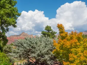 Sky Ranch Lodge - Vue de la chambre