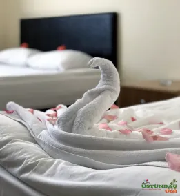 Ustundag Otel - Room