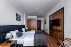 sh hotel business - Room