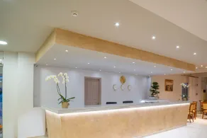 CNic Gemini Hotel - Resepsjon