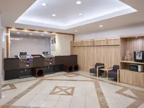 Villa Fontaine Tokyo Jimbocho - Réception