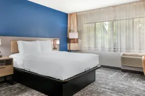 Comfort Inn & Suites Madison - Airport - Chambre