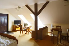 Hotel&SPA Dwór Droblin - Room