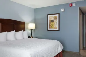 Hampton Inn Denver-International Airport - Chambre