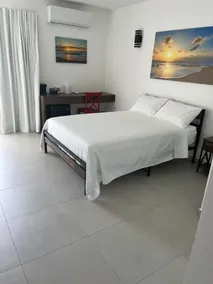 Red Flamboyan Guesthouse and Restaurant - Room