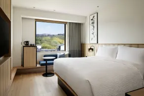 Fairfield by Marriott Nara Tenri Yamanobenomichi - Chambre