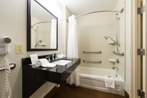 Holiday Inn Express & Suites Columbia-I-26 @ Harbison Blvd by IHG - Salle de bain