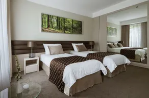 Hotel Narvil Conference & Spa - Room
