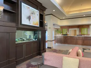 ACP Hotel Houston Westchase, MOD Collection by Sonesta - Réception