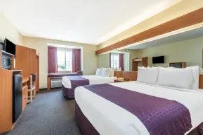 Microtel Inn & Suites by Wyndham Auburn - Chambre