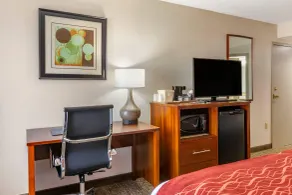 Comfort Inn Greensboro - Kernersville - Chambre