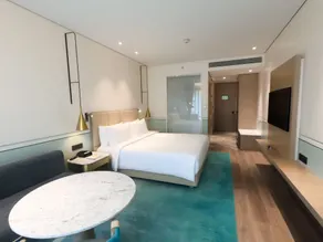 Radisson Blu Mumbai International Airport - Room