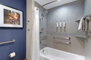 Cambria Hotel Northlake Conference Center - Roanoke - Bad