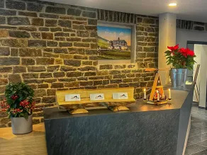 Summit of Saxony Resort Oberwiesenthal - Réception