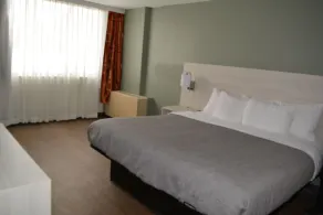 Quality Inn & Suites Syracuse - Carrier Circle - Room