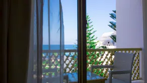 Amir Palace - View from room