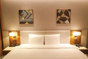 Hotel Skypark Central Seoul Pangyo - Room