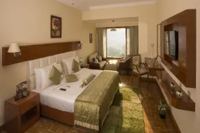Gem Park Ooty - Room