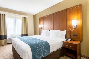 Comfort Inn & Suites Pine Bluff - Chambre