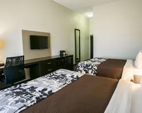 Sleep Inn & Suites Dripping Springs - Austin Area - Chambre