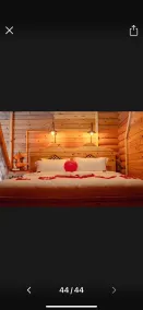 AyDeR CuNeLi BUnGaLoV - Quarto