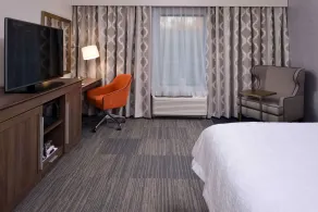 Hampton Inn & Suites Albany-East Greenbush - Rum