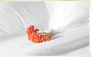 Agroturisme Can Planells - Room