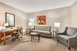 Drury Plaza Hotel San Antonio North Stone Oak - Chambre