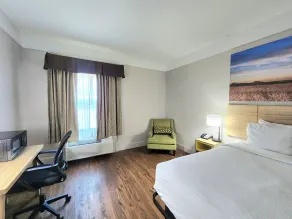 Days Inn by Wyndham Denham Springs-Baton Rouge East - Chambre