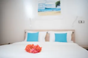 Toparadis Guest House - Room