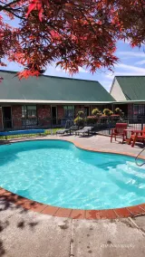 Ashburton's Regency Motel - Piscine