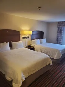 Hampton Inn & Suites Dayton-Airport - Chambre