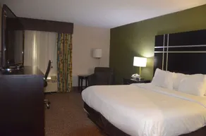 Comfort Inn & Suites Maumee - Toledo I80-90 - Chambre
