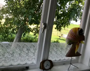 In het huis van Henne van de Enne - Udsigt fra værelset