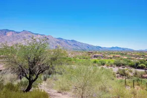 The Westin La Paloma Resort & Spa - Chambre