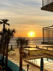 Sea Shells Beach Club - Piscine