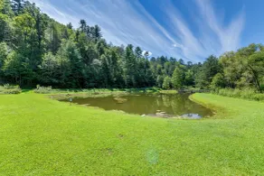 Cabin w/ Hot Tub + Fishing Pond in Del Rio! - Interiör
