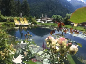 Alpengasthof Grüner - Pool