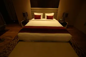 Radisson Udaipur - Room