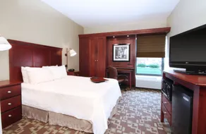 Hampton Inn by Hilton Indianapolis-South - Chambre